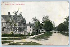 Shelby Michigan MI Postcard Fourth Street East Scene Road Building 1910 Vintage picture
