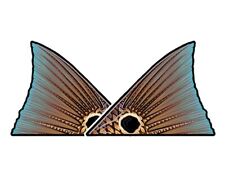 Casey Underwood Tailing Redfish Decal Sticker picture