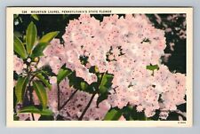 PA-Pennsylvania, Scenic State Flower, Vintage Postcard picture