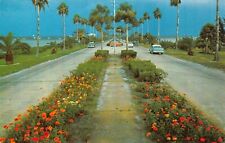 Clearwater Beach FL- Florida, Flowerlined Causeway, Scenic View, Chrome Postcard picture