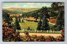 Taos NM-New Mexico, Taos Canyon From Palo Flechado Pass, Vintage c1941 Postcard picture