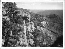 North Rim From The West End Of Duttons Point Looking East Grand C - Old Photo picture