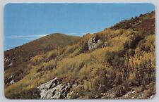 Ruidoso New Mexico, Sierra Blanca Fall Color Scenic View, Vintage Postcard picture