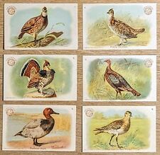 1904 J3 Church & Co Arm & Hammer Game Bird Series Complete 30 Card Set picture