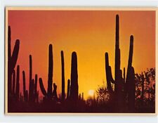 Postcard An Arizona Sunset, Arizona picture