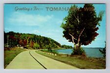 Tomahawk WI-Wisconsin, Scenic Road Greetings, Antique, Vintage Postcard picture