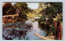 The Original Old Swimming' Hole, Greenfield IN Indiana Vintage Postcard picture