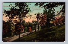 Pittsburgh PA-Pennsylvania, Vista In Highland Park, Antique, Vintage Postcard picture