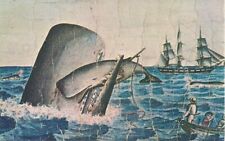 Sperm Whale Saving Baby at Sea, Ship, Whaling Museum, New Bedford MA 1960's picture