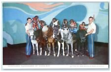 c1950's Chimpanzee Equestrians St. Louis Zoo Saint Louis Missouri MO Postcard picture