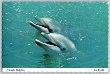 Orlando, Florida FL - Friendly Dolphins - Sea World - Vintage Postcard 4x6 picture