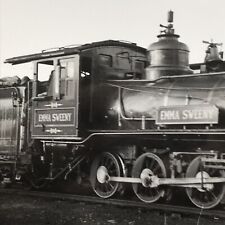 RPPC Denver & Rio Grande Southern Railroad Emma Sweeny #20 Locomotive Postcard picture