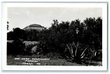 c1940's Mammoth Pyramid San Juan Teotihucan Piramide Mexico RPPC Photo Postcard picture