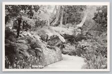 RPPC Hollywood CA Fern Dell c1940 Real Photo Postcard picture
