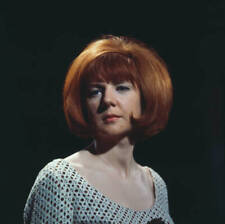English Singer Cilla Black 1965 Old Photo picture