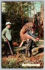 Hunters Bringing Home the Spoils  Buck Deer  Postcard  1908 picture