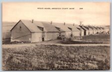 Postcard Potato Houses, Aroostook County, Maine P158 picture