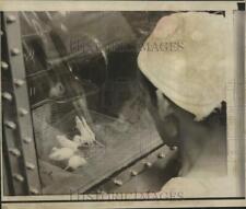 1969 Press Photo Technician at Houston lunar lab checked mice before injections picture