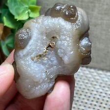 Top Bonsai Suiseki-Natural Gobi Agate Eyes Stone-Rare Stunning Viewing 75g A84 picture