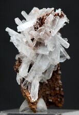 Hemimorphite Specimen Natural White Crystal Cluster Mineral Mapimi Mine MEXICO picture