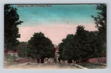 Portland MI-Michigan, Bridge St Hill, Antique, Souvenir, Vintage c1909 Postcard picture