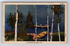 Niles OH-Ohio, Lake Scene, Antique, Vintage c1950 Souvenir Postcard picture