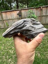 Texas Petrified Wood 5x4x3 Agatized Rotted Buggy Fossil Branch Piece picture