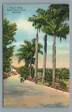 Postcard Royal Palms South Shore Road Bermuda Vintage Linen Postcard Posted 1942 picture