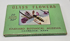 Vintage Harvard University Botanical Museum Color Print Card Set picture