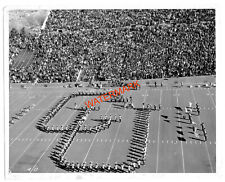 Vintage Original University of Colorado Buffaloes Marching Band Photo 11/13/1971 picture