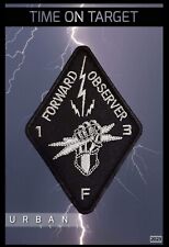 Army FO fister Patch 13f  picture
