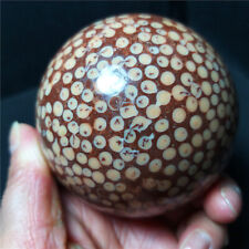 RARE 675.7G 76mm Natural Polished Coral jade Agate Crystal Ball Healing  A3889 picture
