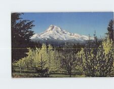 Postcard Mount Hood, Oregon picture