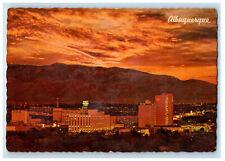 c1950's Night Falls Over This Largest City in New Mexico Albuquerque NM Postcard picture