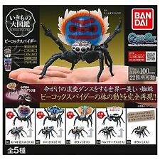 Peacock spider Collection Gacha Capsule Toy 5 Types Set Full Comp Japan Gift picture
