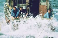 JAWS CAST COLOR 24x36 inch Poster picture