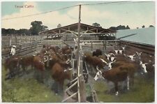 Texas Cattle Posted 1909 Postcard - Serie No. 1 Gulf Coast Country picture
