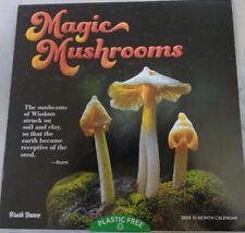 Magic Mushrooms Calendar 2024 picture