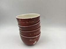 Certified International Ceramic 5x3in Locally Grown Bowl Set of 4 BB02B05013 picture