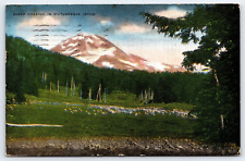 Sheep Grazing In Picturesque Idaho, Mountains, Antique Vintage 1945 Postcard picture