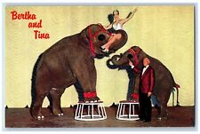 Reno Nevada NV Postcard Bertha & Tina John Nugget Sparks Elephants 1960 Unposted picture