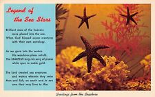 Gulfport FL Florida Marine Biology Sea Stars Starfish Atlantic Vtg Postcard B41 picture