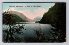 Lake Chelan WA-Washington, A View of Lake Chelan, Vintage Souvenir Postcard picture