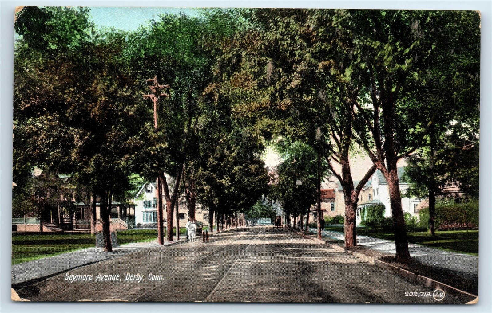 Postcard Seymore Avenue, Derby, Connecticut 1903 H153