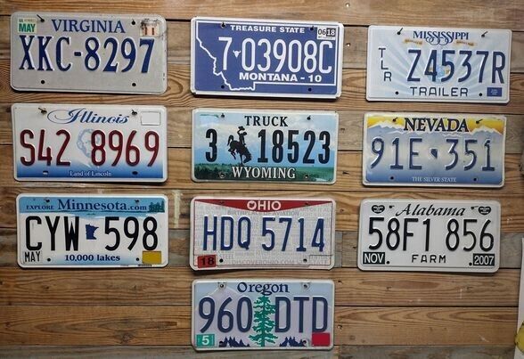 Variety of 10 expired 2013 Mixed State craft condition License Plate  XKC 8297