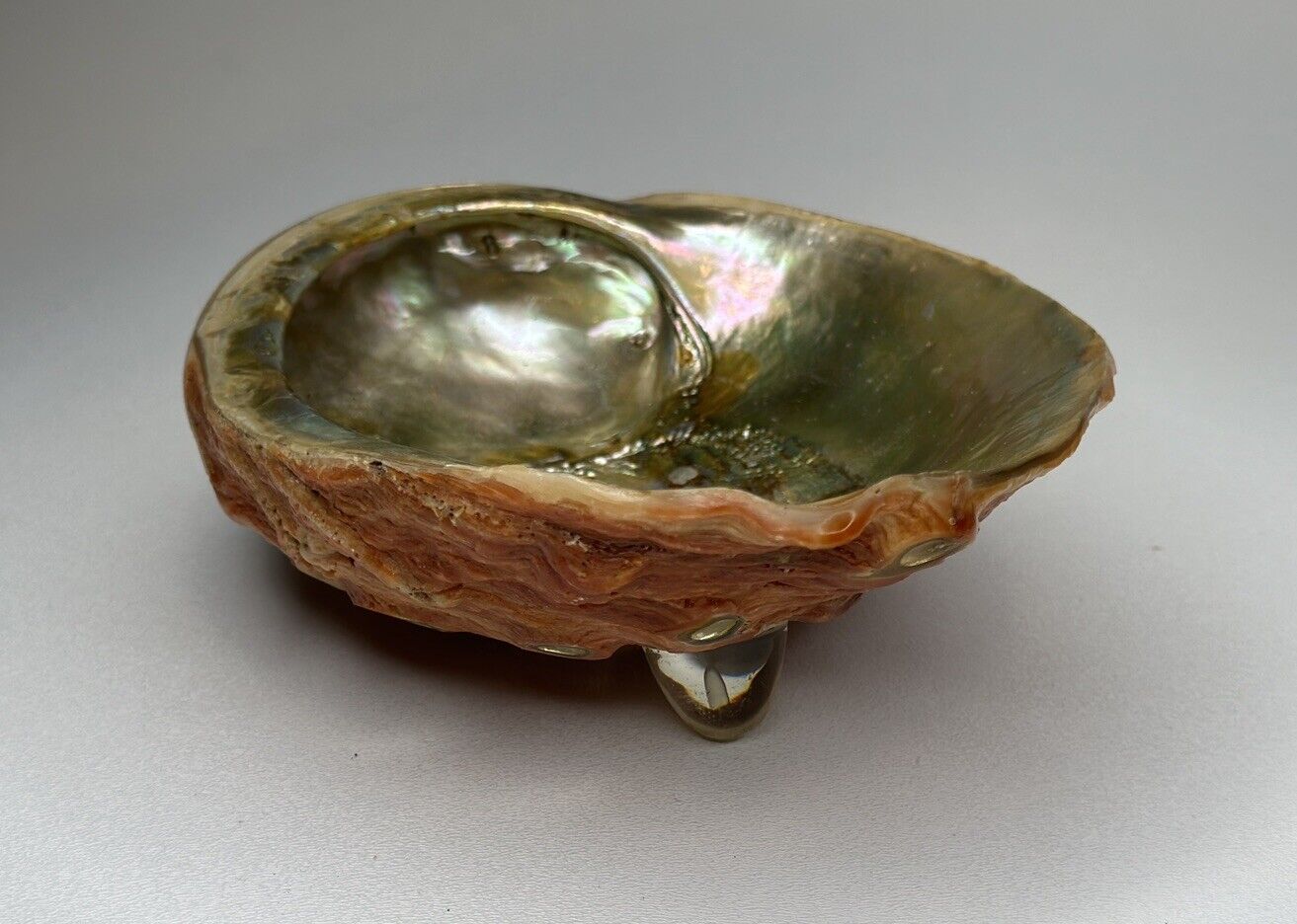 Massive Prismatic Rainbow-Colored Red Abalone Shell Dish 8” x 6”