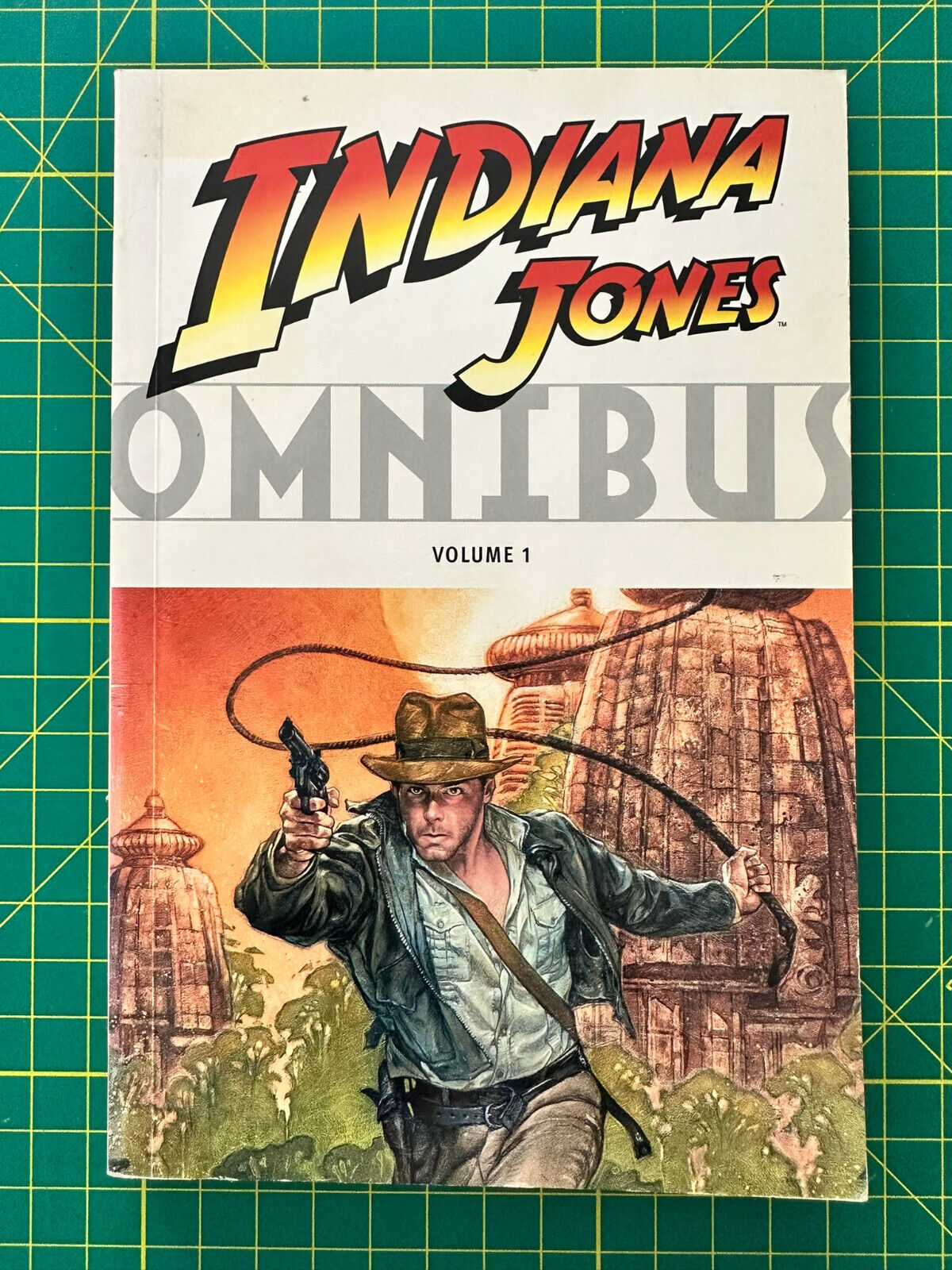 Indiana Jones Omnibus Vol 1 Dark Horse Comics 2008 TPB Graphic Novel OOP CHEAP