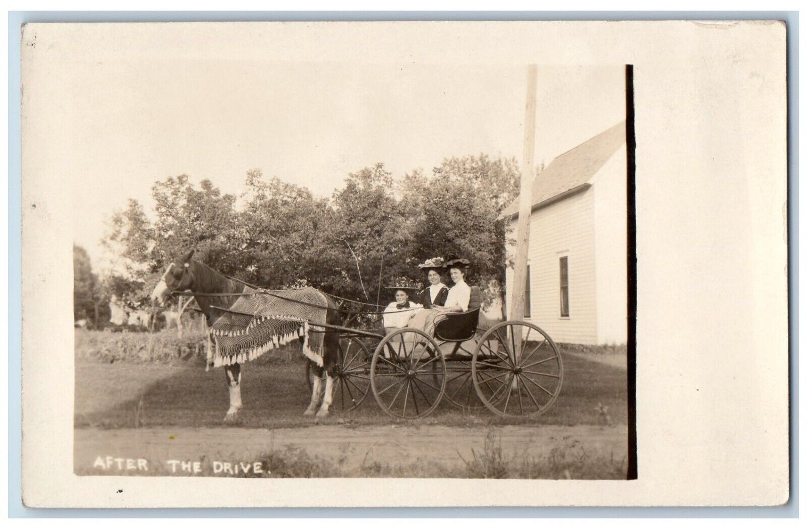 c1910's Postcard RPPC Photo Woman Riding Horse And Carriage Antique Unposted