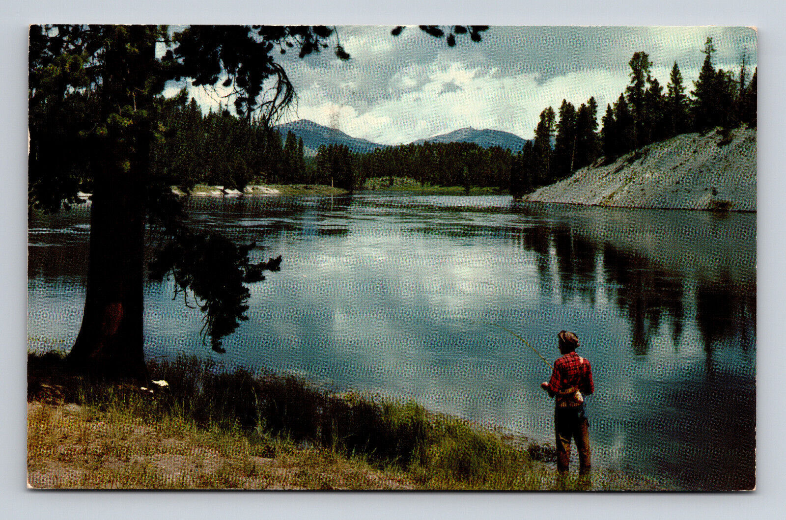 c1956 Chrome Postcard Fishing in Yellowstone River Fisherman