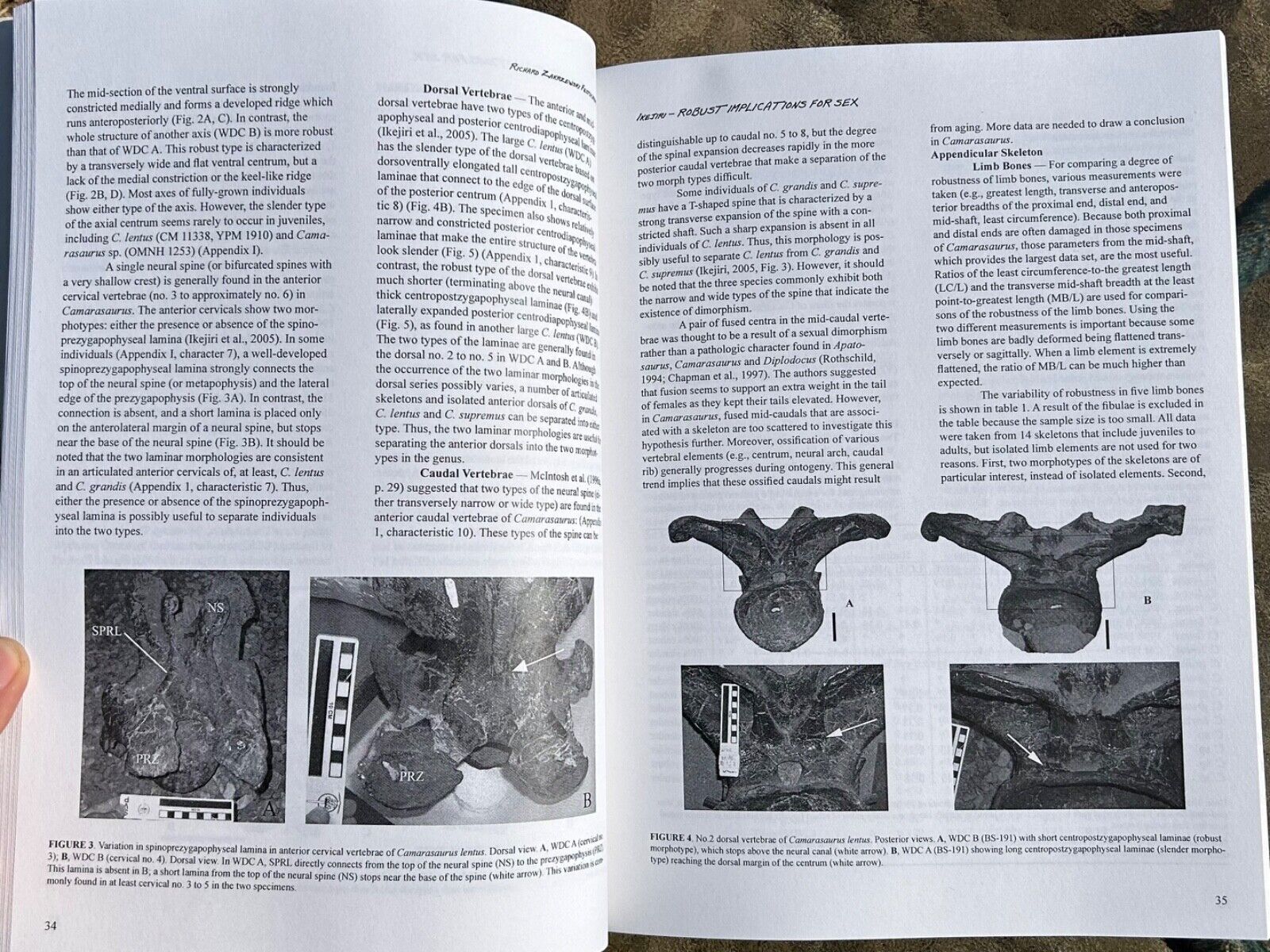 Unlocking the Unknown Papers Honoring Dr. Richard J. Zakrzewski Fossil Book